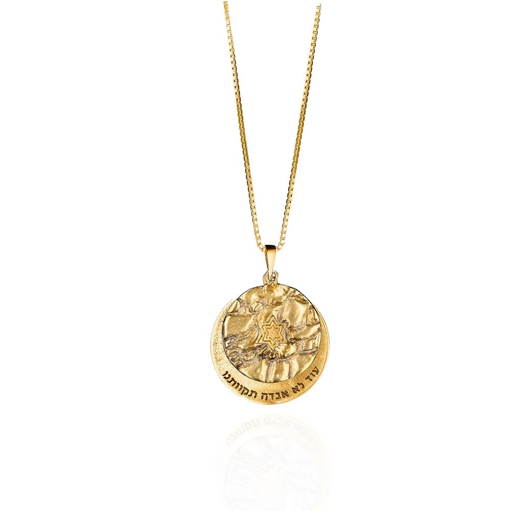 Gold plaque and necklace